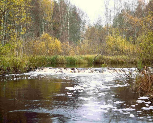 Kopratamm Kasari jõgi